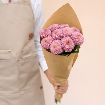 Chrysanthemum Single - Ping Pong Pink