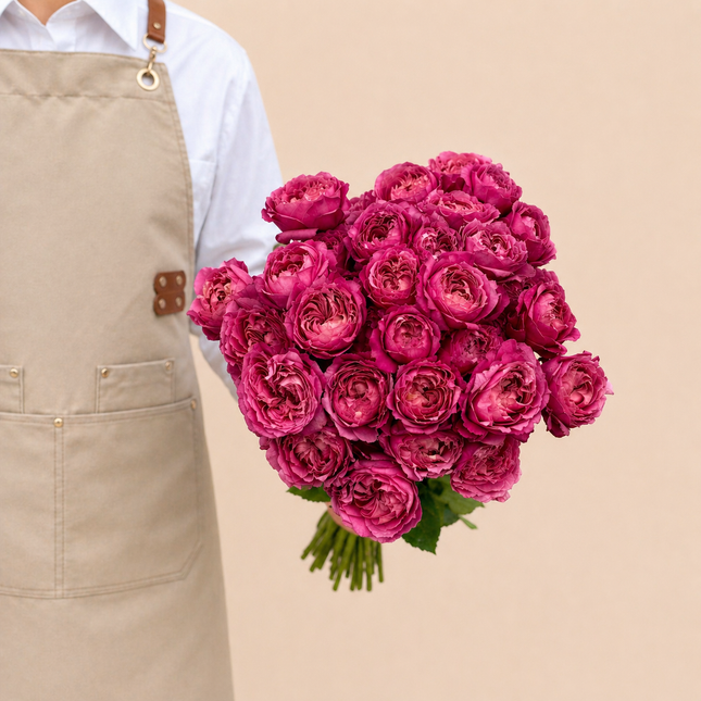 Spray Rose Julieta Cerise