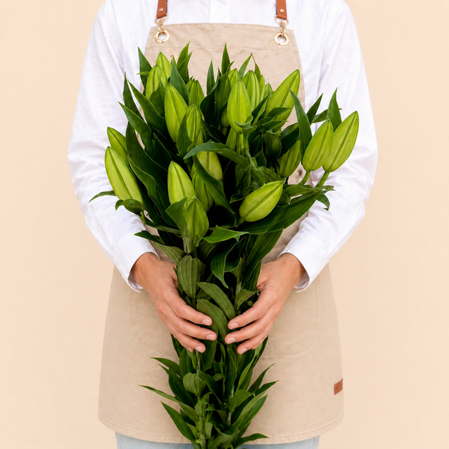 Oriental White Lilies