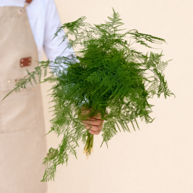 Asparagus Green