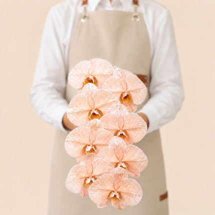 Peach Phalaenopsis Cut Flower