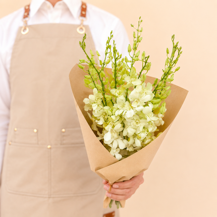 White Dendrobium Orchid Bunch