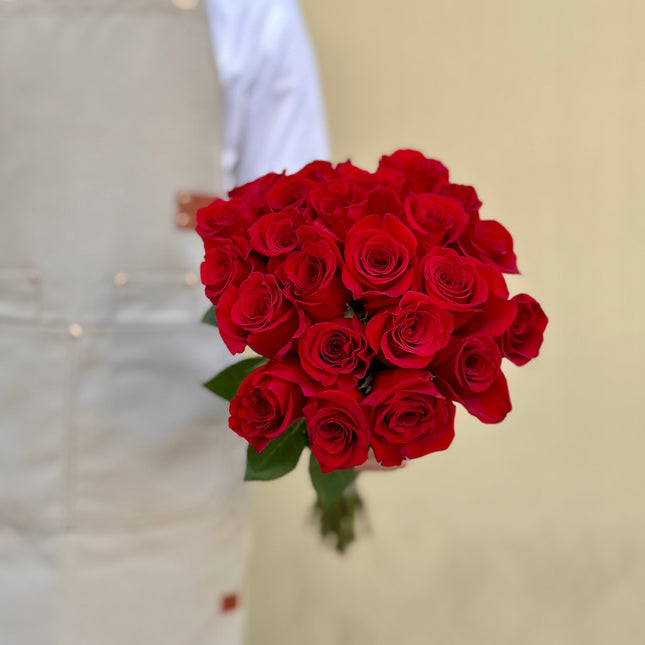 Freedom Roses