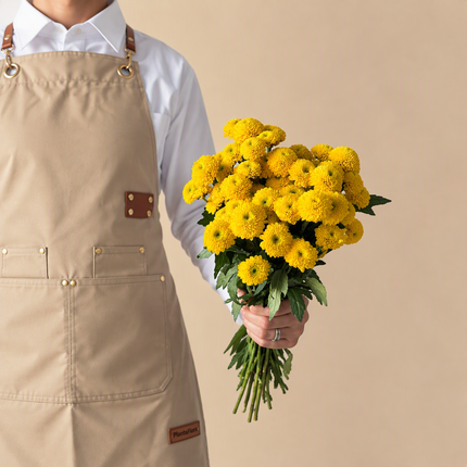 Chrysanthemum Santini Spray Yellow