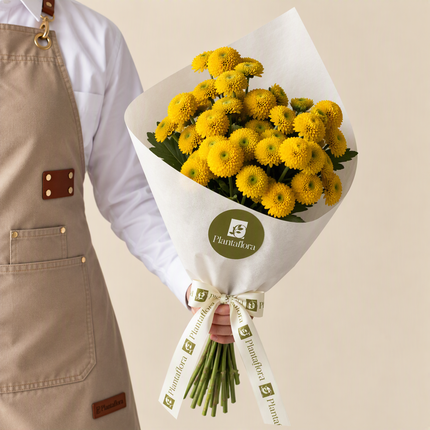 Chrysanthemum Santini Spray Yellow