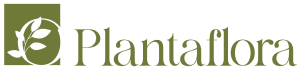 Plantaflora Store