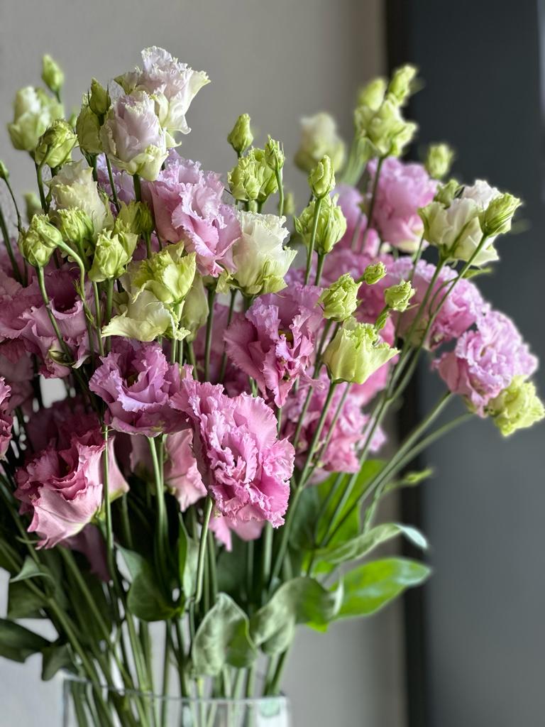 LAVENDER LISIANTHUS