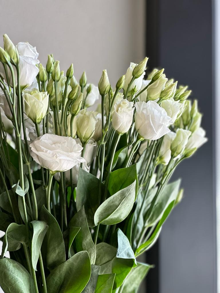 LISIANTHUS WHITE