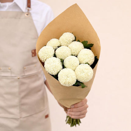 Chrysanthemum Single - Ping Pong White