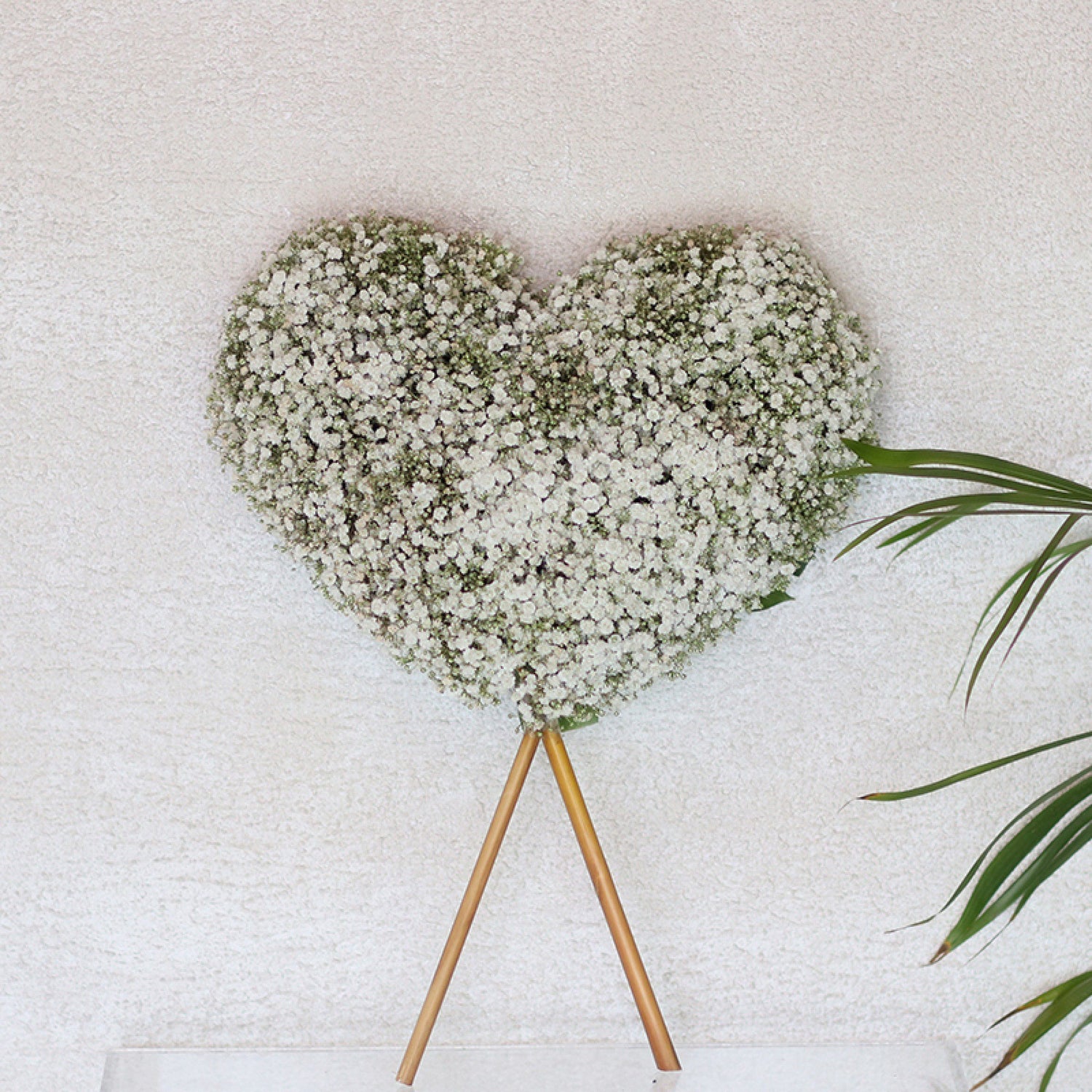 Sweet Heart Gypsophila