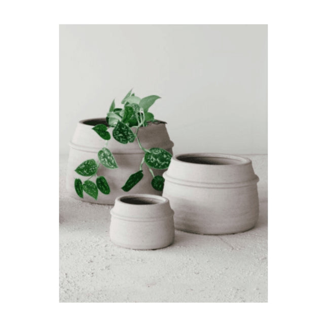 Chive Orchidpot Silk