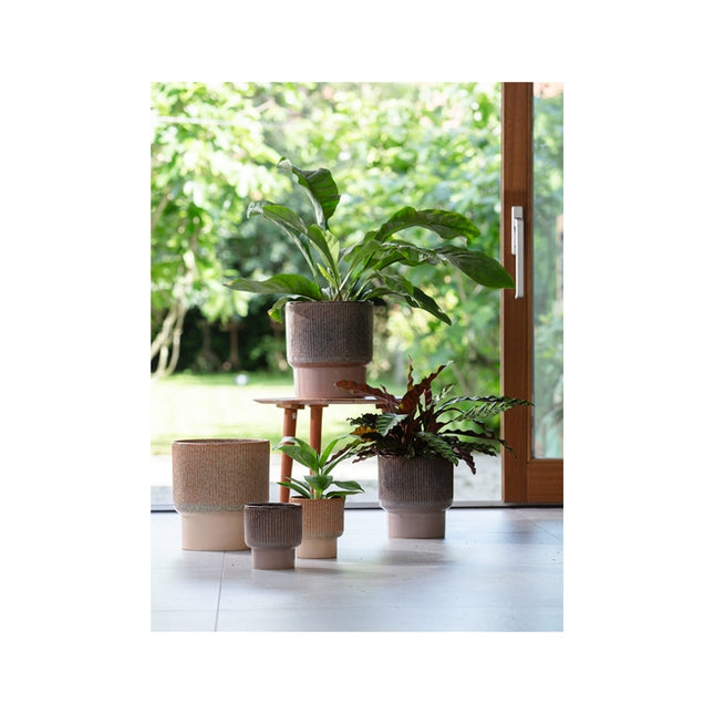 Dodo Pot Reactive Jade Brown