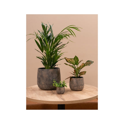 Jules Pot Earth Large