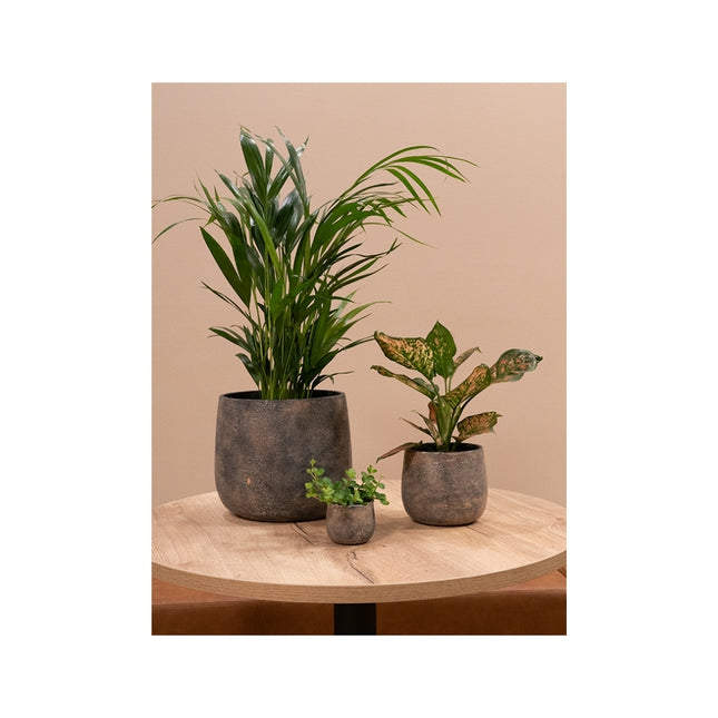 Jules Pot Earth Large