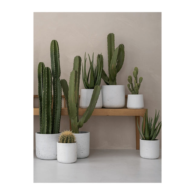 Rough Patt S White Washed
