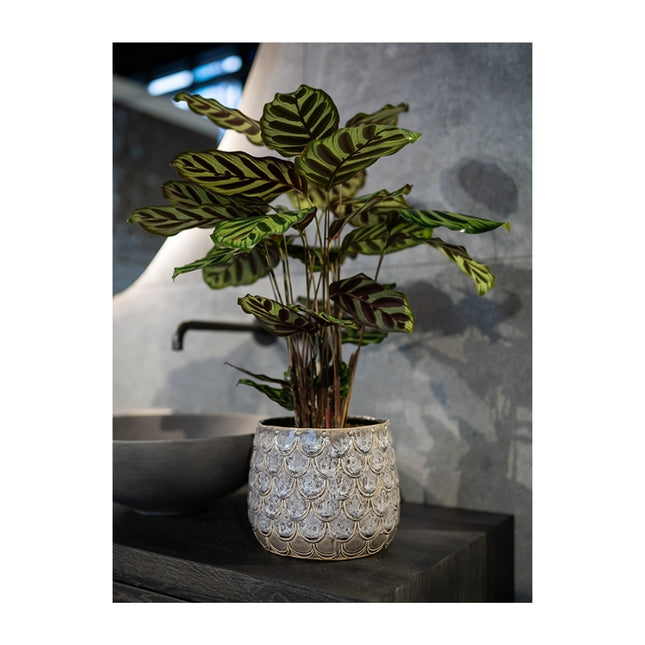 Debby Pot Lavender S