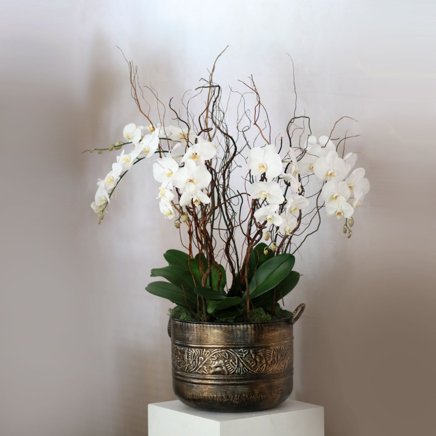 Phalaenopsis in a Rustic Brass Vase Arrangement